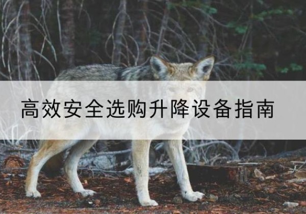 朝天升降货梯厂家推荐-*安全选购升降设备指南