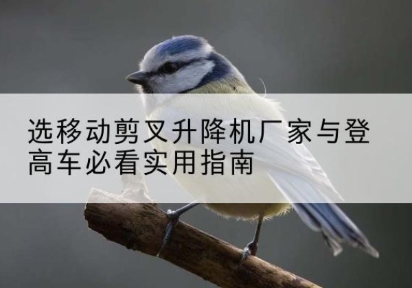 朝天电动升降机厂家-选移动剪叉升降机厂家与登高车必看实用指南