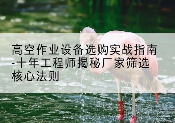 朝天剪叉式升降机厂家-高空作业设备选购实战指南-十年工程师揭秘厂家筛选核心法则